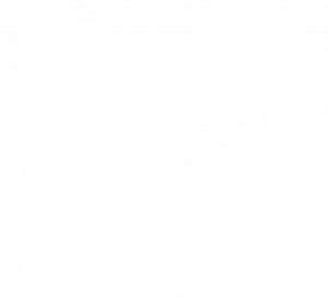 VeVe-Logo-Herz-Weiß