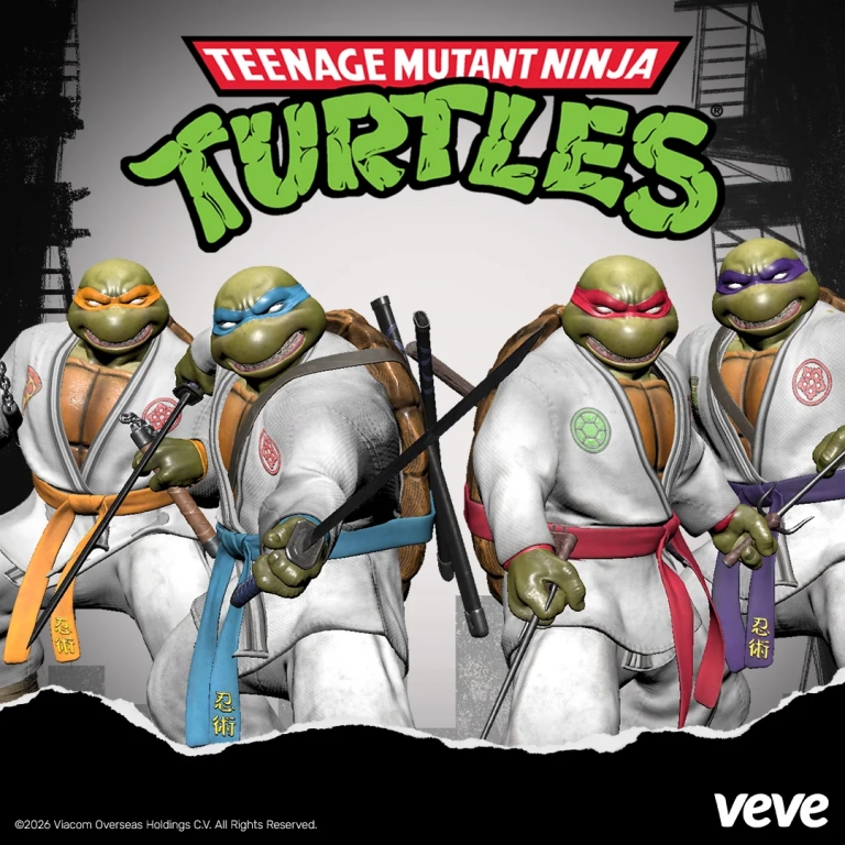 Leonardo, Raphael, Donatello und Michelangelo in weißen Dojo-Gis mit ihren typischen Waffen vor dem TMNT-Logo.